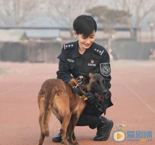 电视剧续集《警花与警犬之再上征程》里还有女子警犬训导员妮娜吗