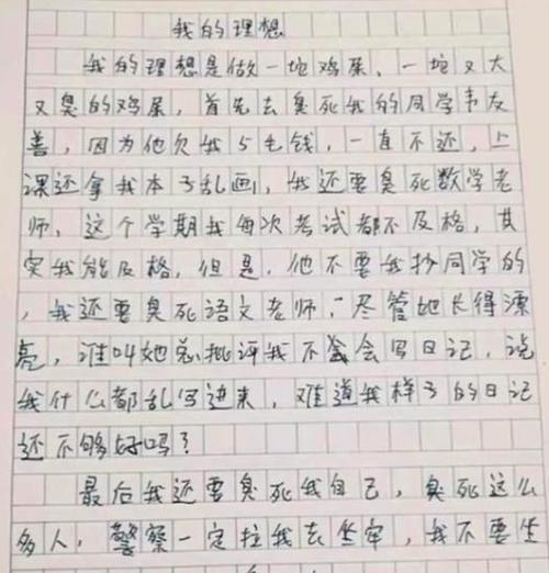 我有什么我没有什么作文