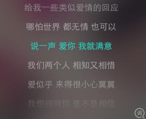 其实你要的爱情我都知道歌词