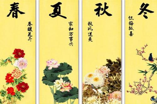 春、夏、秋、冬四个季节各适合种植什么花