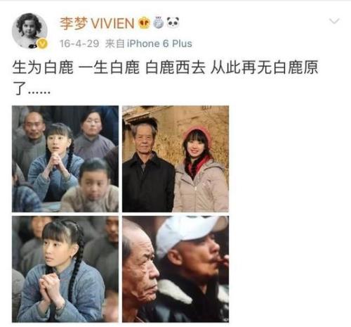 白鹿原出道多少年