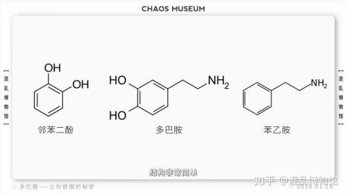 无处安放的多巴胺是什么意思