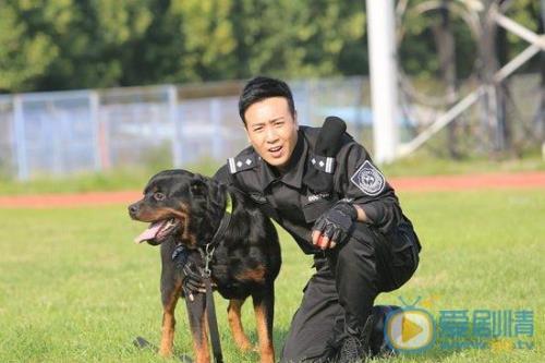 警花与警犬拆车第几集