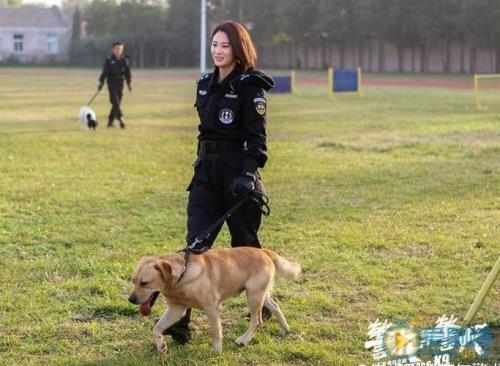 警花与警犬警花被天狼咬第几集