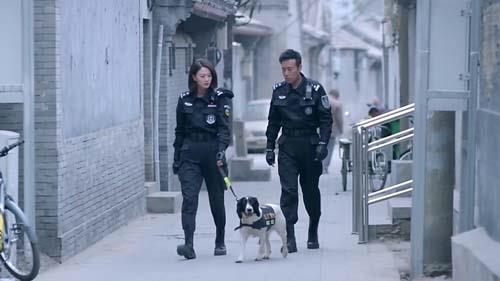 警花与警犬李姝寒要走了樱桃追上去了