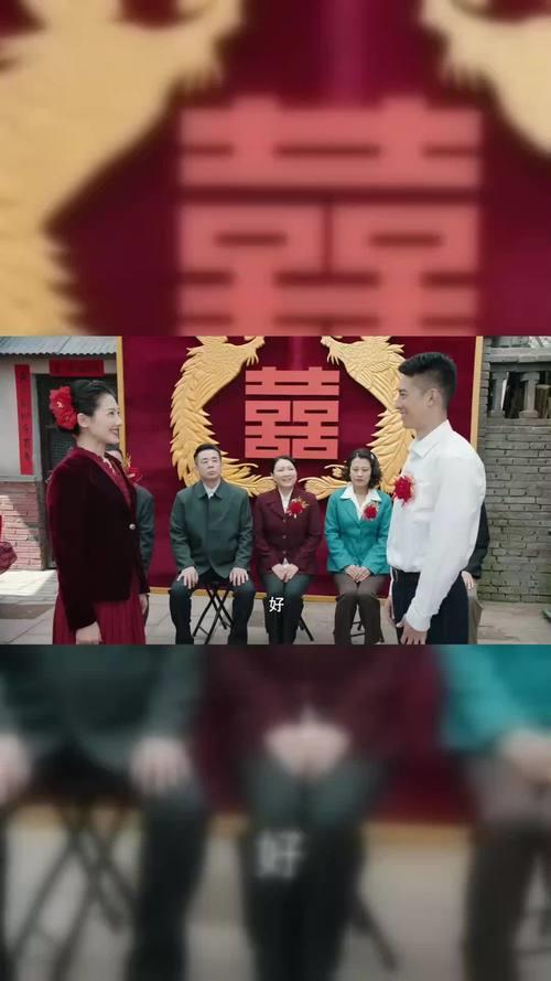 亲爱的孩子们白鸽结了几次婚