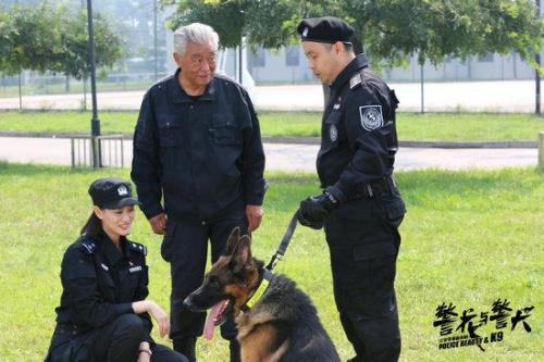 警花与警犬换上便装后惊艳众人是多少集