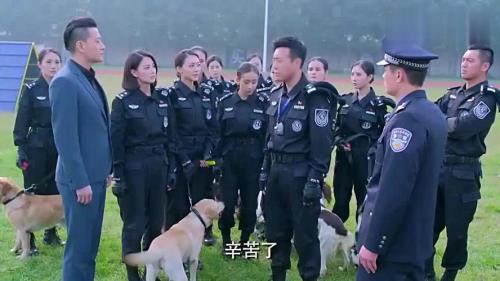 警花与警犬中.杜飞和林娇娇第一次见面是第几集