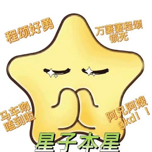 星汉灿烂程颂是谁的儿子