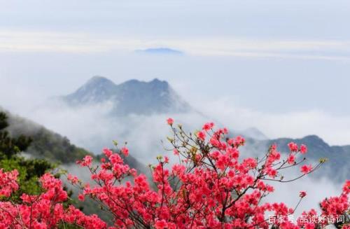 雕像红杜鹃诗歌朗诵赏析