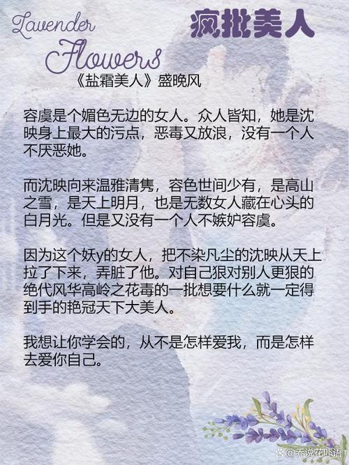 男主叫何苏叶的小说叫什么名字