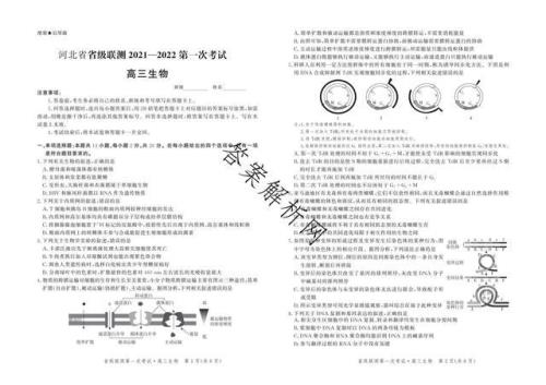 河北思博试卷(十九)答案