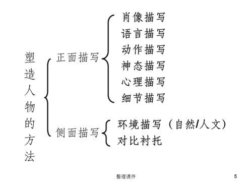 分析“九斤老太”和“赵七爷”的人物形象