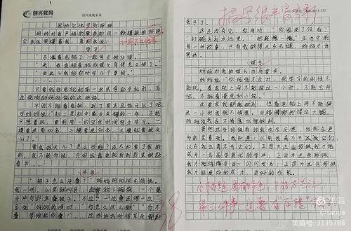 500字作文内含小标题