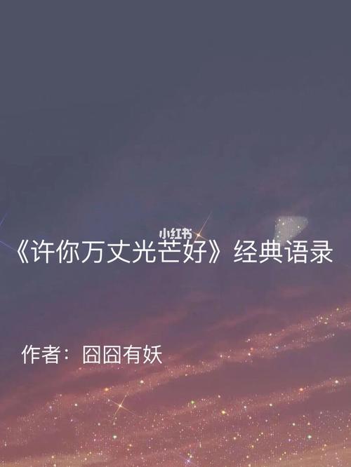 许你万丈光芒好宁夕变成植物人是哪一章