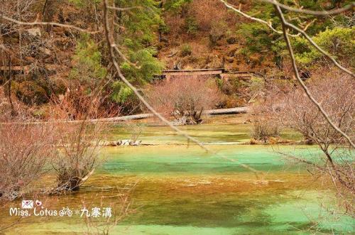 九寨沟盆景滩的形成原因