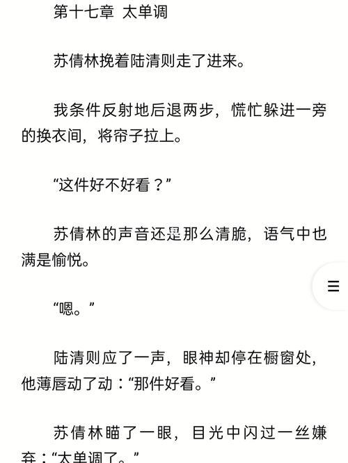 陆和苏是什么小说