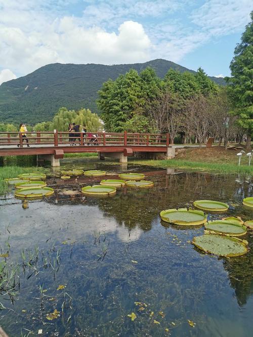 太阳山植物园怎么停车