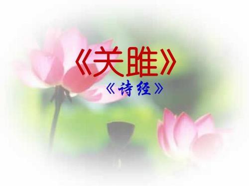 关雎蒹葭蒙爱情观是什么