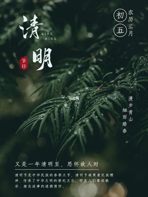 古代清明高级文案