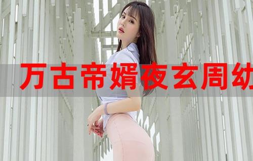 类似万古帝婿夜玄的小说