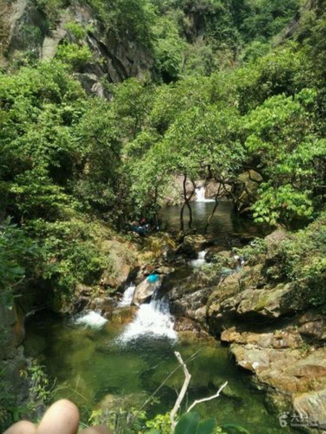 大坑山景区怎么样