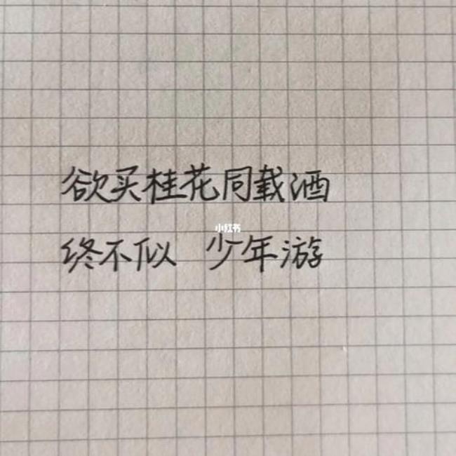 少年感的字