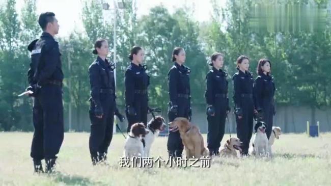 警花和警犬樱桃被抓是哪一集