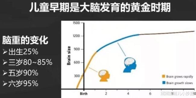 男生多少岁智力发育