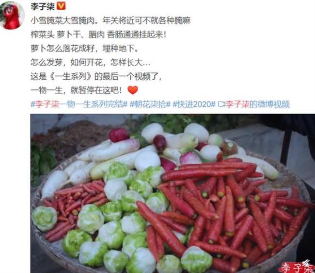 李子柒的菜是自己做的么