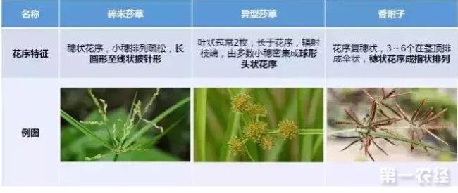 均是和都是有什么区别