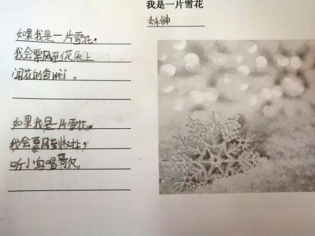 雪花一片一片是谁唱的