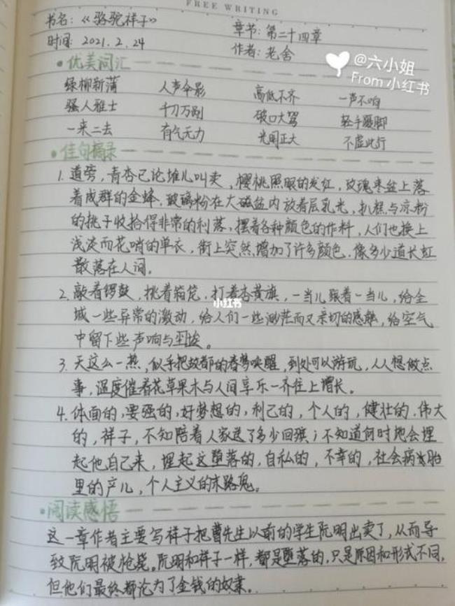 骆驼祥子的24章概括