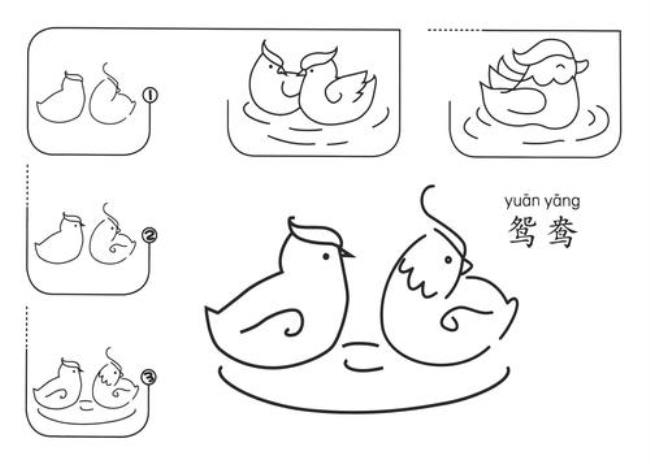 怎样画一对鸳鸯的简笔画