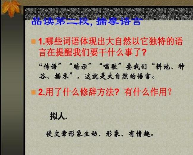 大自然的语言层次划分概括大意