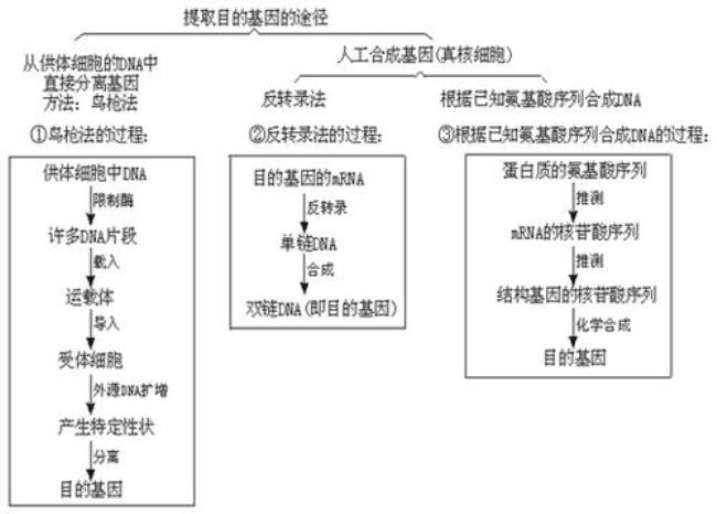 反转录温度条件