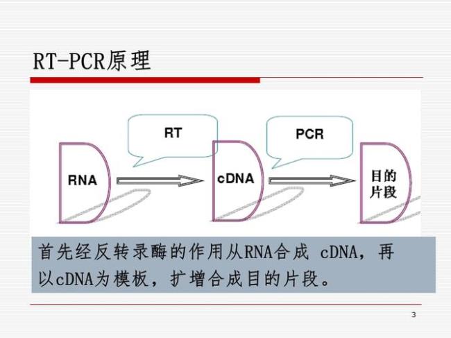 pcr技术72度延伸的原理