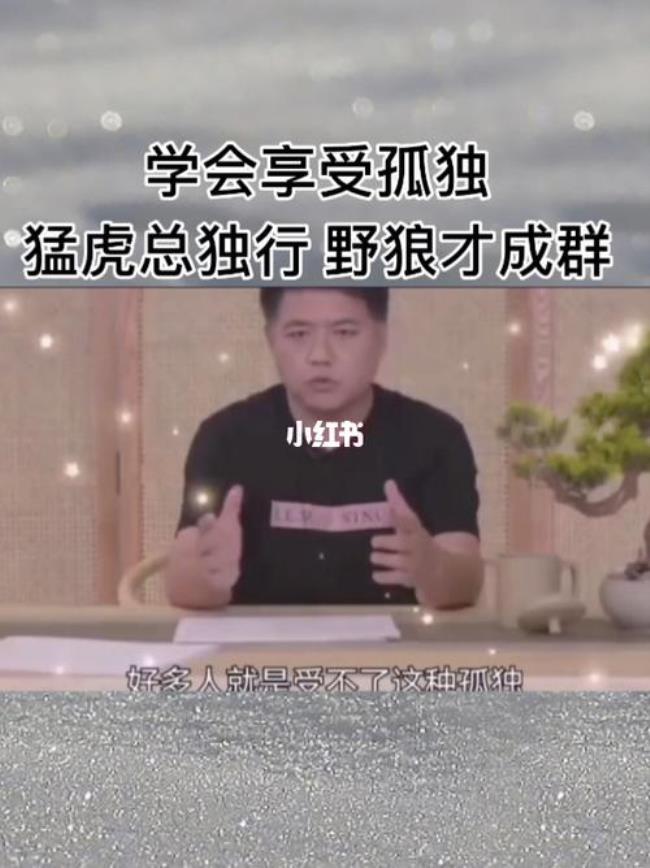 猛虎总独行什么意思