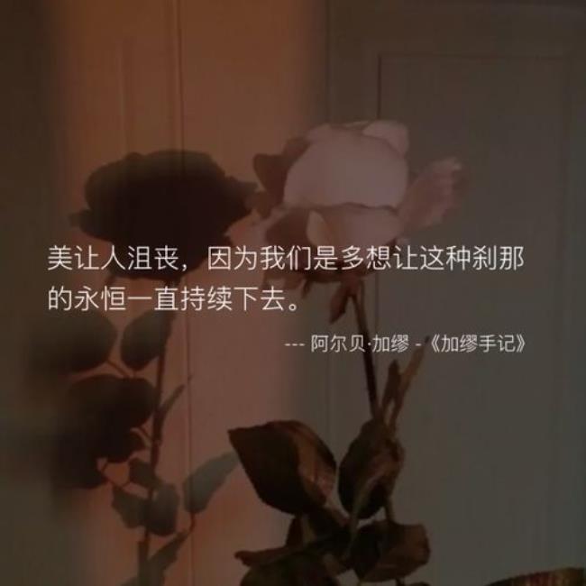 不服命运的加缪名言