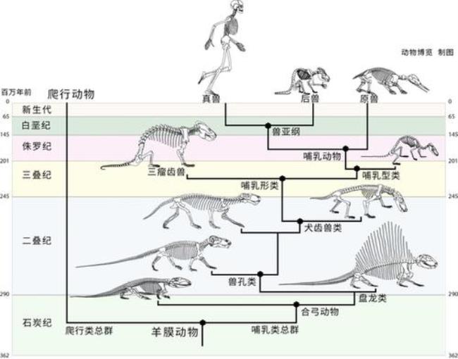 蜥蜴比尔是哪本书的人物