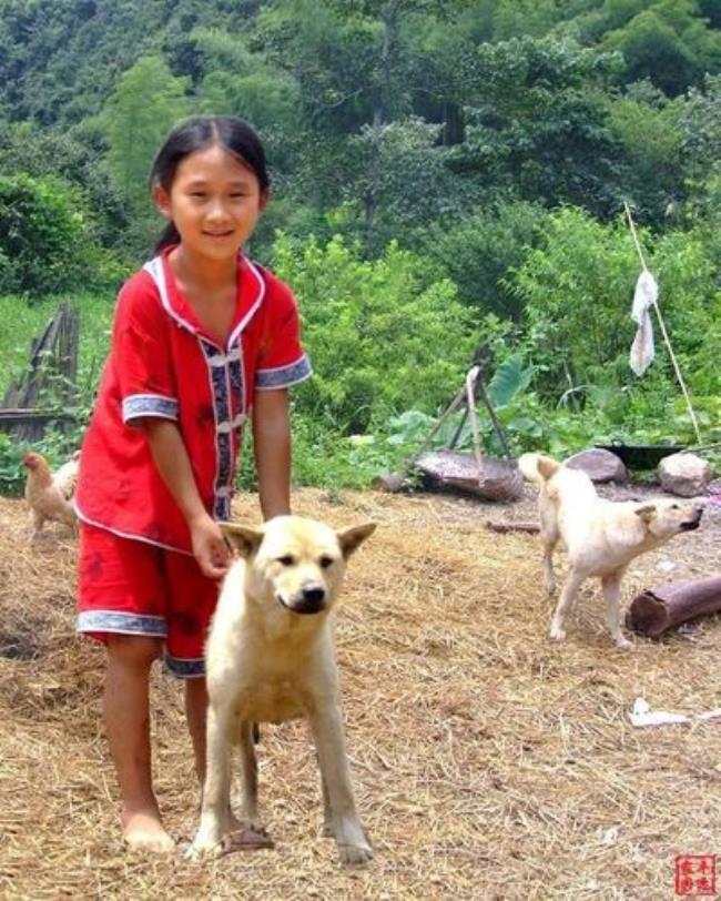 孩子回农村的真实感言