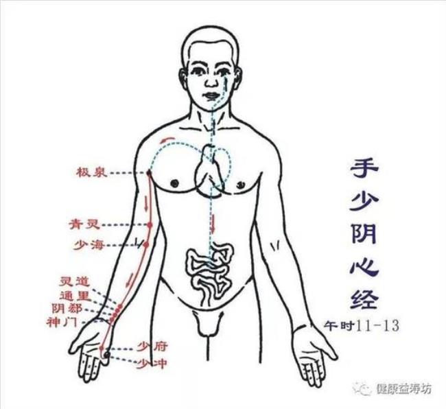 十二经脉流经顺序时间