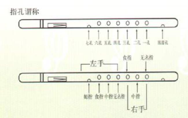 葫芦丝抖指断音怎么吹