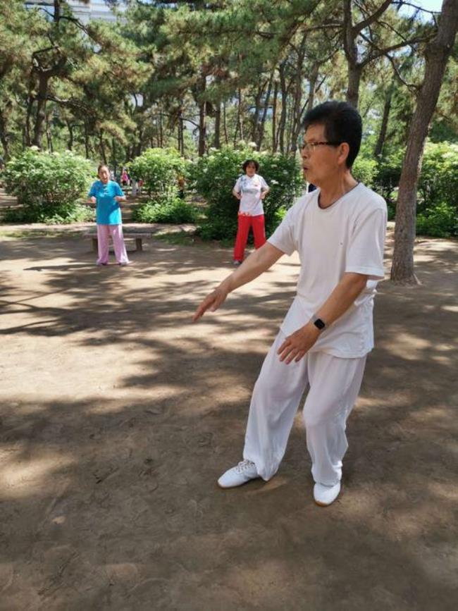 陈氏太极老架74式口诀