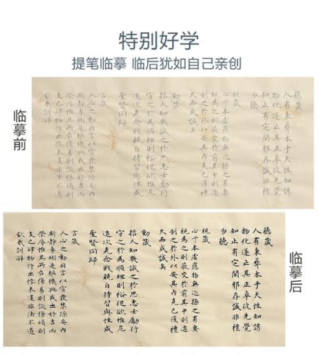 初学毛笔能学馆阁体吗