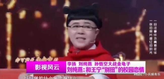 乐乐妈妈王宁扮演者