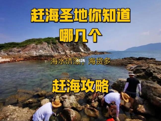 深圳赶海排名第一名