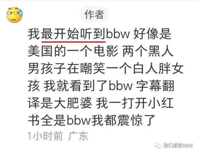 bbw什么意思