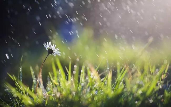 贵州下雨顺口溜