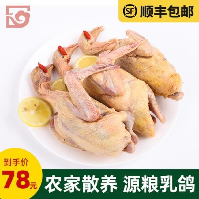 一斤鸽子能杀多少肉